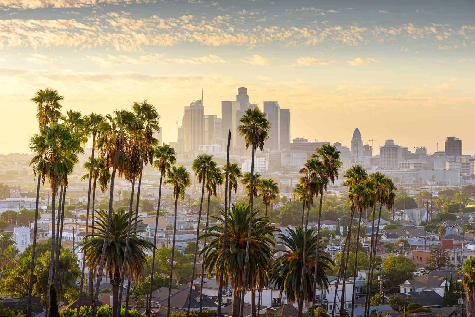 Where to Get a Real Estate License In California